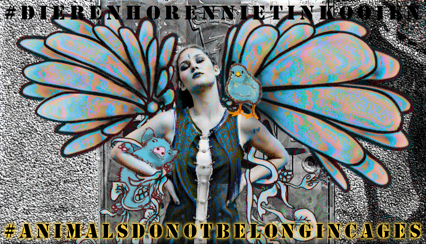 Digital art animals don't belong in caches