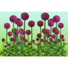 excessiveflowering02digitalartbypixelpolly