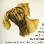Hond illustratie